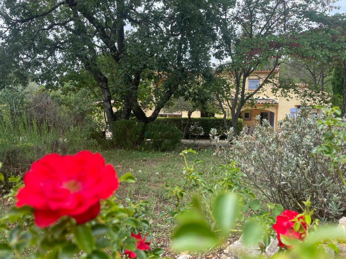 La Maison De La Cigale Forcalqueiret Kültér fotó